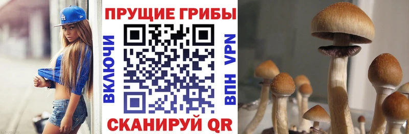 Купить  Красавино  Псилоцибиновые грибы мухоморы 